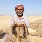 La Syrie stimule les investissements agricoles