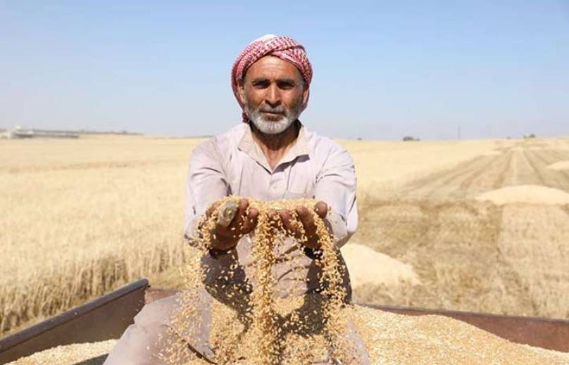 La Syrie stimule les investissements agricoles